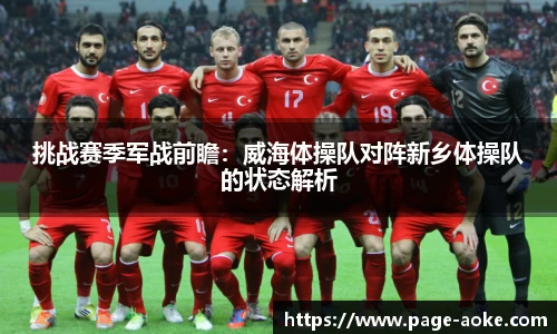 挑战赛季军战前瞻:威海体操队对阵新乡体操队的状态解析