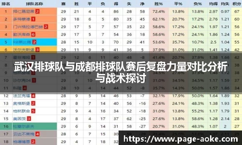 武汉排球队与成都排球队赛后复盘力量对比分析与战术探讨